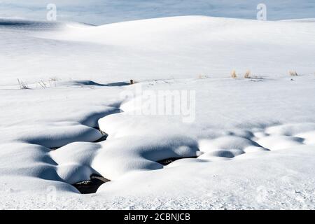 Winterlandschaft im Palouse, WA Stockfoto