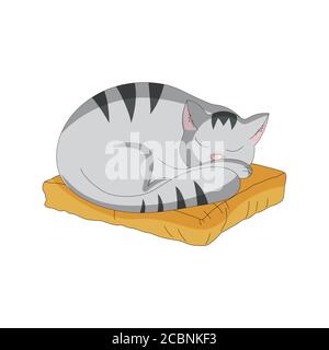 Katze schläft auf dem Kopfkissen Stock Vektor-Illustration Stock Vektor