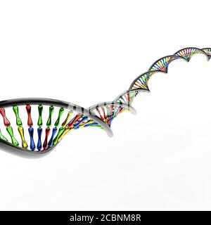 Mehrfarbige metallische DNA-Stränge in einer doppelten Helix-Kettenstruktur Auf weißem Hintergrund Stockfoto