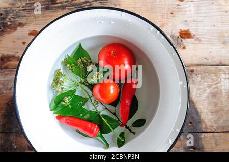 Tomaten, rote Paprika, Dillsamen und Kirsch- und Meerrettichblätter in Wasser in einer weißen Emaille-Schüssel. Stockfoto