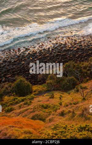 Oceran Wellen brechen auf dem felsigen Strand Stockfoto