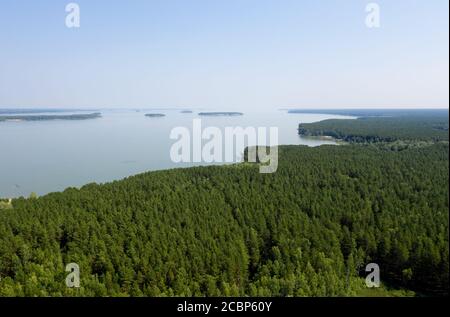 Luftaufnahme eines sumpfigen Sees im Karakansky Kiefernwald nahe dem Ufer des ob Stausees. Sibirien, Russland Stockfoto