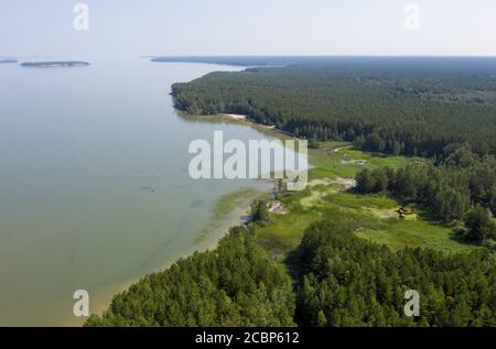 Luftaufnahme eines sumpfigen Sees im Karakansky Kiefernwald nahe dem Ufer des ob Stausees. Sibirien, Russland Stockfoto