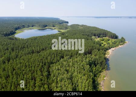 Luftaufnahme eines sumpfigen Sees im Karakansky Kiefernwald nahe dem Ufer des ob Stausees. Sibirien, Russland Stockfoto