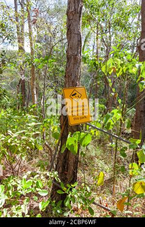 Ein Warnschild hing an dem Waldbaum und sagte - Überwachungskamera kann in diesem Park verwendet werden. Byron Bay, Australien Stockfoto