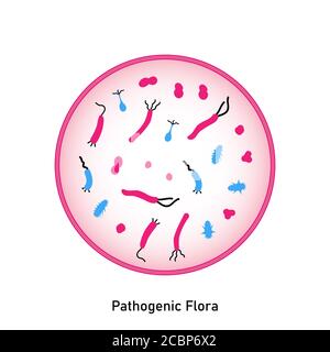 Bakterieller Mikroorganismus im Kreis. Pathogene Flora der Haut und Schleimhäute. Flacher Style. Keime, primitive Organismen. Störung des normalen f Stockfoto