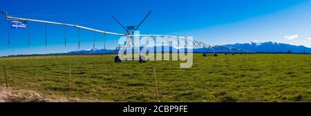 Neuseeland Landschaftsszenen: Bewässerung Infrastruktur: Bewässerungsanlagen, Sprühgeräte, Sprinkler, Wasserläufe, Kontrolltore, Bohrungen etc. Stockfoto