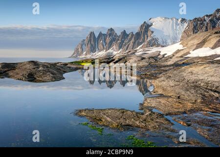 Grüner Seetang und felsiger Strand von Tungeneset, hinter schneebedeckten felsigen Gipfeln Devils Teeth, Devil's Teeth, Okshornan, steinerne Fjorde, Senja Island Stockfoto