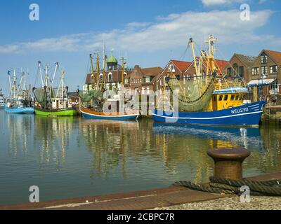 Angelkutter, Liegeplatz, Osthafen, Neuharlingersiel, Küstenstadt, Kutterhafen, Badeort, Ostfriesland, Norddeutschland, Deutschland Stockfoto