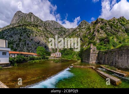 Smaragdgrüne Wasser der Bucht von Kotor oder Boka Kotorska, Berge und das alte steinerne Stadtmauer von Kotor ehemalige venezianische Festung in Montenegro Stockfoto