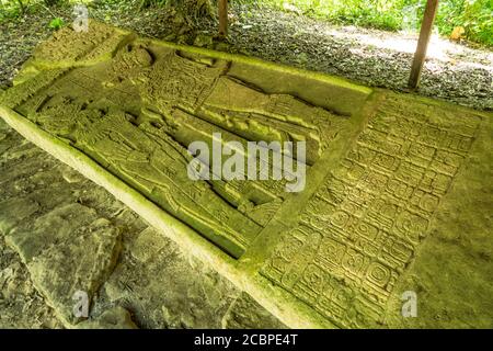 Stela 11 zeigt Vogel Jaguar und Schild Jaguar IV in den Ruinen der Maya-Stadt Yaxchilan am Usumacinta Fluss in Chiapas, Mexiko. Stockfoto