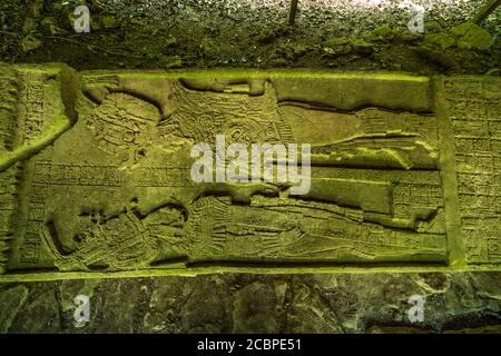 Stela 11 zeigt Vogel Jaguar und Schild Jaguar IV in den Ruinen der Maya-Stadt Yaxchilan am Usumacinta Fluss in Chiapas, Mexiko. Stockfoto