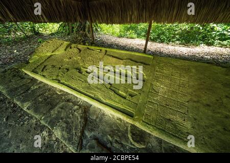 Stela 11 zeigt Vogel Jaguar und Schild Jaguar IV in den Ruinen der Maya-Stadt Yaxchilan am Usumacinta Fluss in Chiapas, Mexiko. Stockfoto