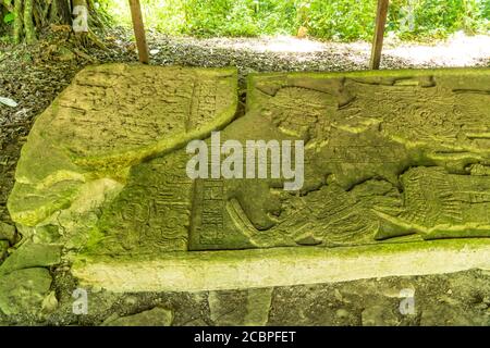 Stela 11 zeigt Vogel Jaguar und Schild Jaguar IV in den Ruinen der Maya-Stadt Yaxchilan am Usumacinta Fluss in Chiapas, Mexiko. Stockfoto