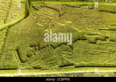 Stela 11 zeigt Vogel Jaguar und Schild Jaguar IV in den Ruinen der Maya-Stadt Yaxchilan am Usumacinta Fluss in Chiapas, Mexiko. Stockfoto