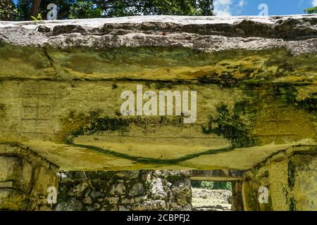 Sturz 38, Gebäude 16, in den Ruinen der Maya-Stadt Yaxchilan am Usumacinta Fluss in Chiapas, Mexiko. Stockfoto