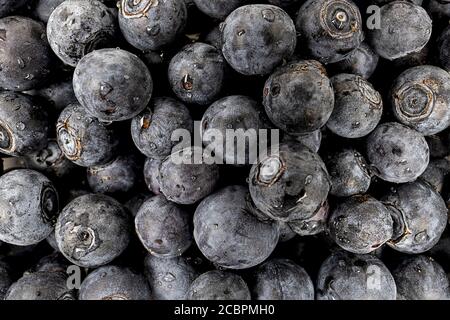 Vollbildbild von dunkelvioletten Heidelbeeren auf einem Haufen Stockfoto
