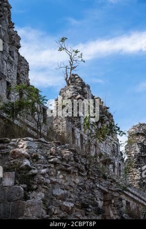 Die Dovecote oder Taubenhaus Ruinengruppe in der Maya-Stadt Uxmal in Yucatan, Mexiko. Prähispanische Stadt Uxmal - ein UNESCO-Weltkulturerbe Cente Stockfoto