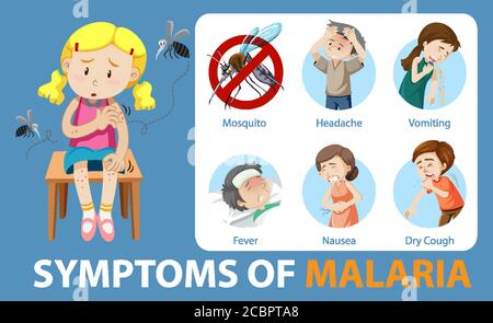 Symptome der Malaria Cartoon Stil Infografik Illustration Stock Vektor