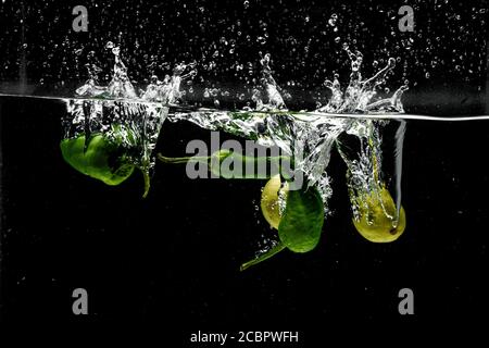 Freeze Motion von Jalapeno Peppers mit Wasser Splash auf schwarz Hintergrund Stockfoto