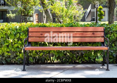 Leere Holzbank im Hinterhof des Campus, Sommerhecke, ein grüner Buschzaun. Rest-Konzept Stockfoto