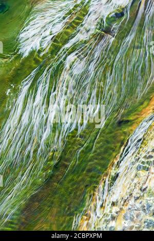 Abstrakte Farben Schatten des Flusses Weed und Algen wachsen in flachen Gewässern der heißen Quelle. Nahaufnahme. Draufsicht. Stockfoto