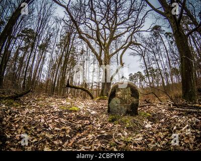 Nahaufnahme eines Grabsteines in einem herbstlichen Wald Stockfoto