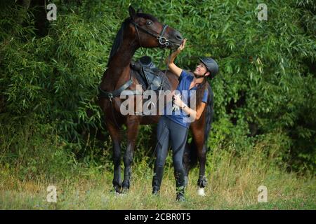 Reiter mit dem Pferd zu Fuß im Freien Stockfoto