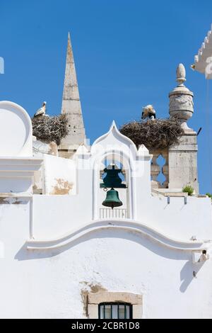 Storch nistet auf Arco da Vila, einem mittelalterlichen Tor in Faro, Algarve, Portugal Stockfoto