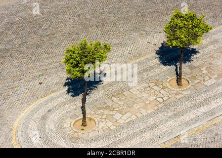 Bäume und Mosaik auf dem Kathedralenplatz in Faro, Algarve, Portugal Stockfoto