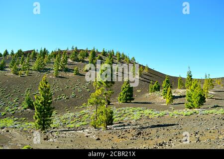 Mirador de las Narices del Teide in Mount Teide National Parken Sie auf Teneriffa Stockfoto