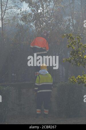 Rom, Sommer Feuer Notfall. Ein Großbrand im Viertel Quadraro. Im Laufe des Nachmittags waren die Feuerwehrmannschaften, zwei Hubschrauber und zahlreiche Zivilschutzfahrzeuge mit einem Großbrand im Aquädukt Felice im Bezirk Quadraro beschäftigt. Der Verkehr der Züge wurde wegen der Nähe der Flammen entlang der Eisenbahnlinie für einige Stunden ausgesetzt. Kredit: SPP Sport Presse Foto. /Alamy Live Nachrichten Stockfoto