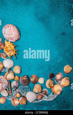 Sommer Strand Hintergrund Rahmen, Muscheln auf cyan Hintergrund. Sammlung von Muscheln. Stockfoto