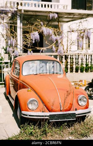 Zabljak, Montenegro - 23. juli 2020: Roter Retro-Wagen Volkswagen Kafer - Beetle - ein Pkw der deutschen Firma Volkswagen aus dem Jahr 1946 Stockfoto