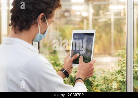 Rückansicht des kaukasischen männlichen Wissenschaftlers, der das Grün fotografiert Pflanzen im Gewächshaus Stockfoto