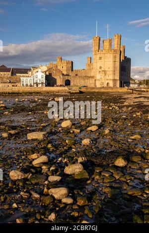 Caernarfon Castle an der Küste von Nordwales Stockfoto