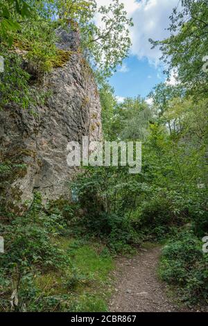 Weg entlang einer Felswand des Stenzelbergs im Juli. Stockfoto