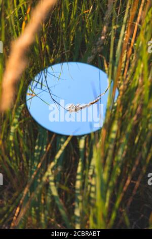 Runder Spiegel im Gras - trendige Bild, nah an der Natur Stockfoto