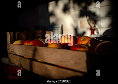 Eine Holzkiste mit roten Äpfeln in direkter Sonneneinstrahlung Stockfoto