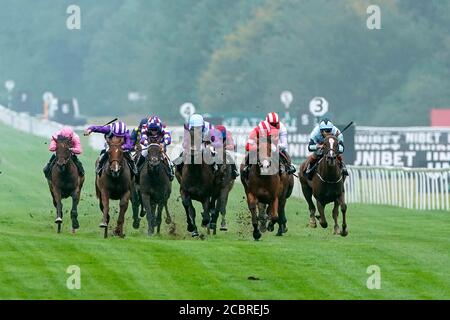 Alcohol Free mit Oisin Murphy (Mitte) gewinnt die Novice-Einsätze der Unibet-Fillies auf der Rennbahn Newbury. Stockfoto