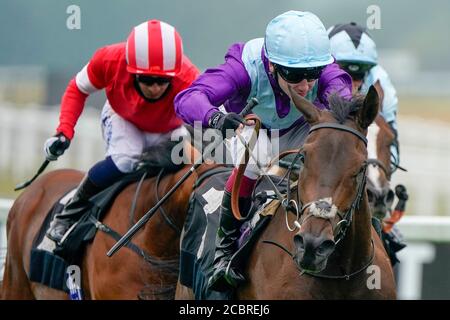 Alcohol Free mit Oisin Murphy gewinnt die Novice Stakes der Unibet-Fillies auf der Rennbahn Newbury. Stockfoto