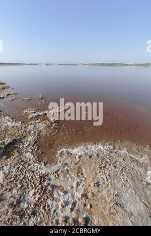 Naturpark der Lagunas de La Mata und Torrevieja. Im Bild die rosa Lagune. Stockfoto