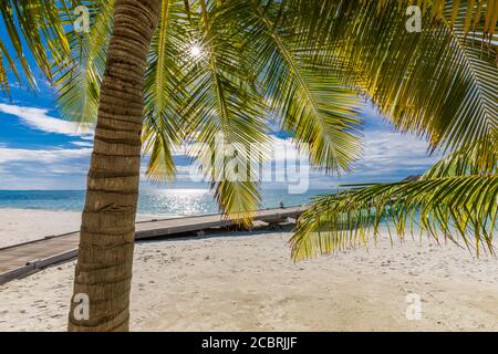 Palmenblätter in der Sonne ruhige tropische Strandlandschaft. Entspannende Palmen am sonnigen Strand der Koralleninsel, Sonnenstrahlen, Balken. Exotische Natur, Meerblick Stockfoto