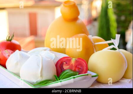 Käsesammlung, italienische Käse provolone, caciocavallo, scamorza, Mozzarella Büffel aus Süditalien, weiß und gelb geräuchert, serviert im Freien in Stockfoto