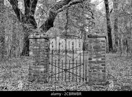 Ein mysteriöses altes Eisernes Tor in der Mitte des Woods Leading to No Where Stockfoto