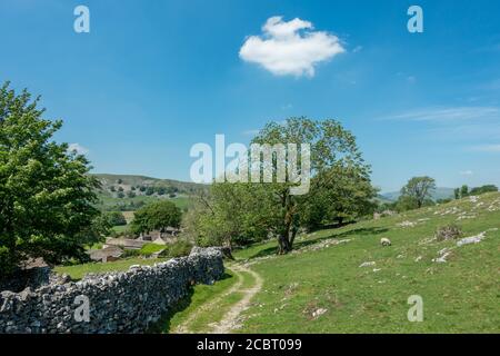 Landschaft in Großbritannien: Weibliche Wanderer, die an einem heißen Sommertag, Yorkshi, durch ein grünes Grasfeld an einer alten Steinscheune auf dem Grassington Woods Walk vorbeigehen Stockfoto
