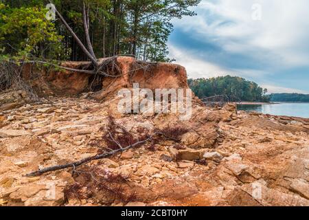 Dürre ein See Lanier Georgien auf der Halbinsel Biber Insel mit Felsen ausgesetzt und Bäume von Erosion gefallen Die Küste mit dem See in der Stockfoto