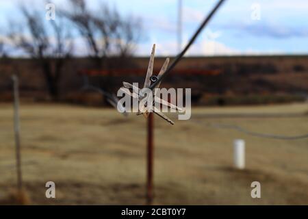 Klamottennadeln an einer Wäscheleine, Farm in Oklahoma Stockfoto