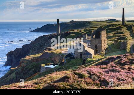 Levant Mine in Cornwall wurde an einem Morgen Anfang August gefangen, als die Heide in Blüte stand. Stockfoto