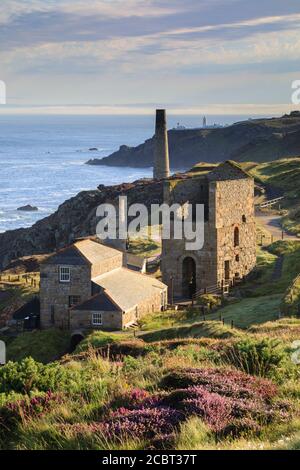 Levant Mine in Cornwall wurde an einem Morgen Anfang August gefangen, als die Heide in Blüte stand. Stockfoto